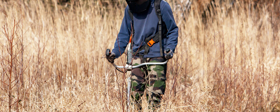 L’obligation légale de débroussaillement – un dispositif tout en nuances