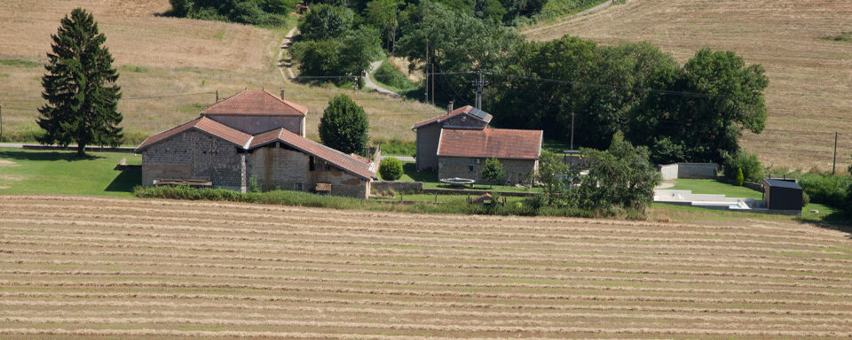 Les droits de préemption ruraux