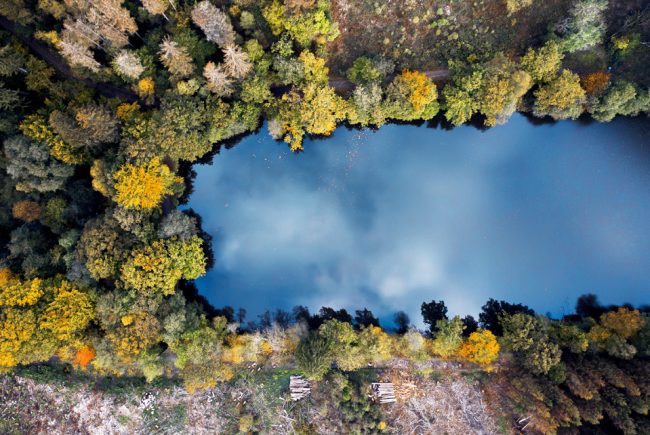 Panorama des principaux droits de préemption publics 