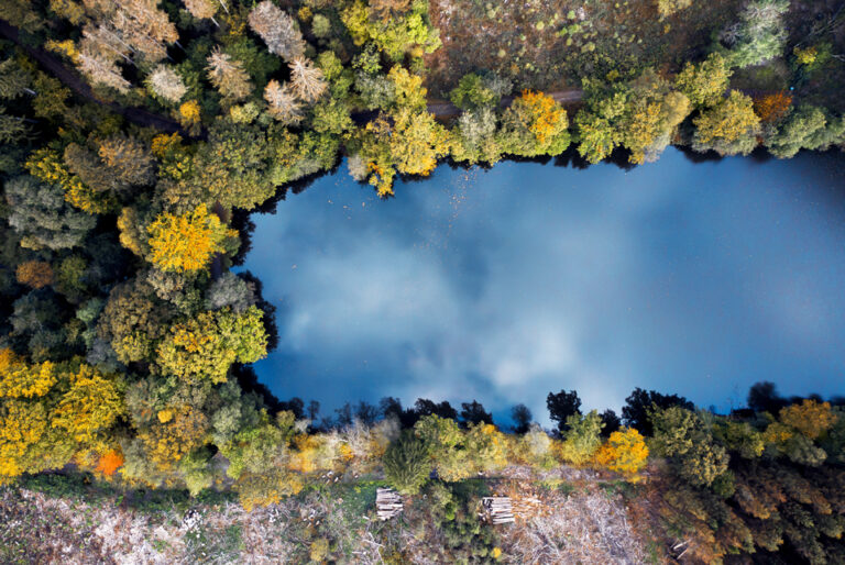 Panorama des principaux droits de préemption publics 