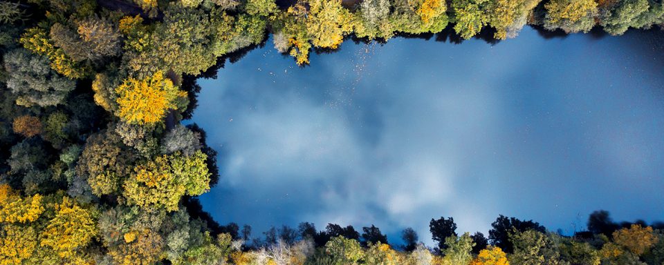 Panorama des principaux droits de préemption publics 