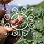 Bail rural et société, amour et désamour