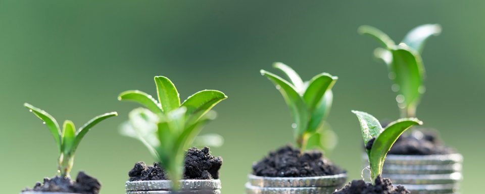 Le fonds agricole, entre pertinence et dissimulation